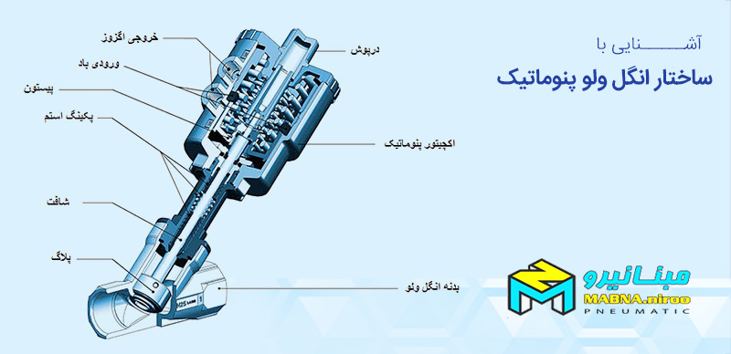 ساختار انگل ولو